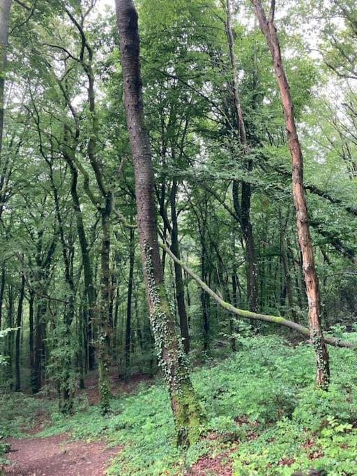 La Cabane, Durbuy Kültér fotó